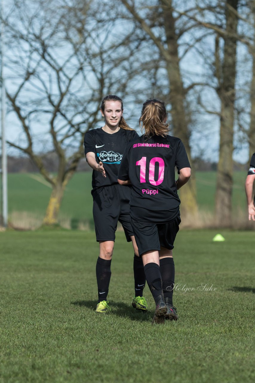 Bild 194 - C-Juniorinnen SV Steinhorst/Labenz - TSV Friedrichsberg-Busdorf : Ergebnis: 5:0